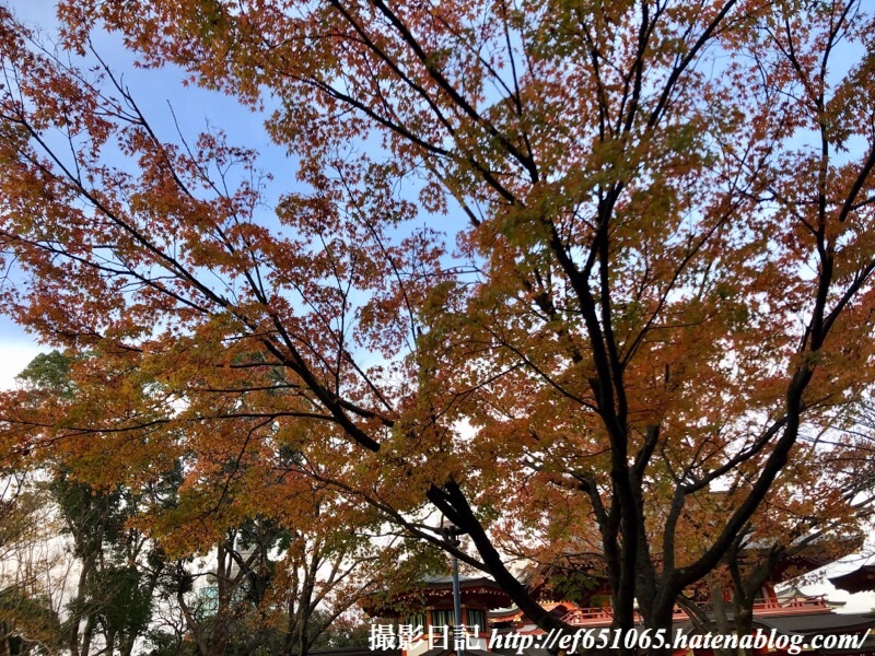 f:id:ef651065:20191201153635j:image