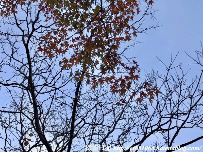 f:id:ef651065:20191201153641j:image