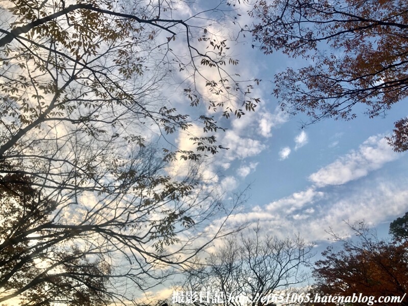 f:id:ef651065:20191205160622j:image