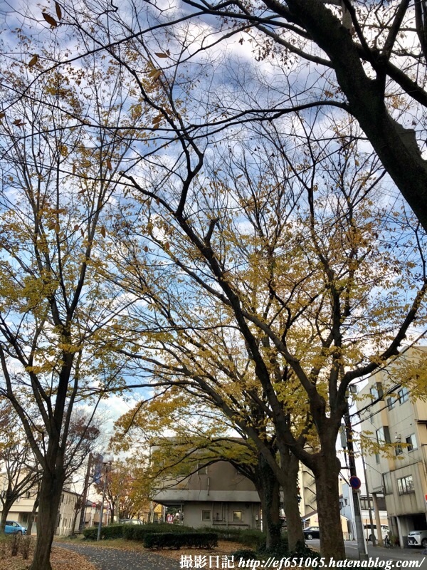 f:id:ef651065:20191205160632j:image