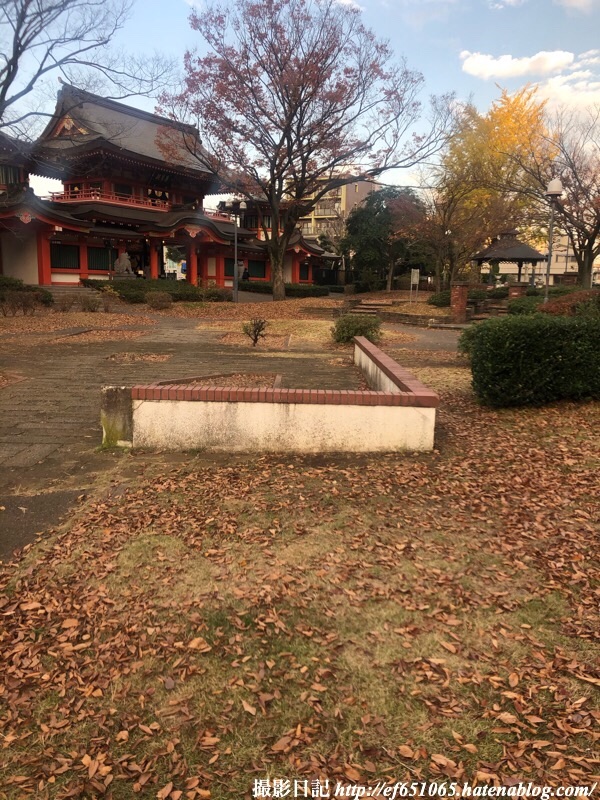 f:id:ef651065:20191205160644j:image