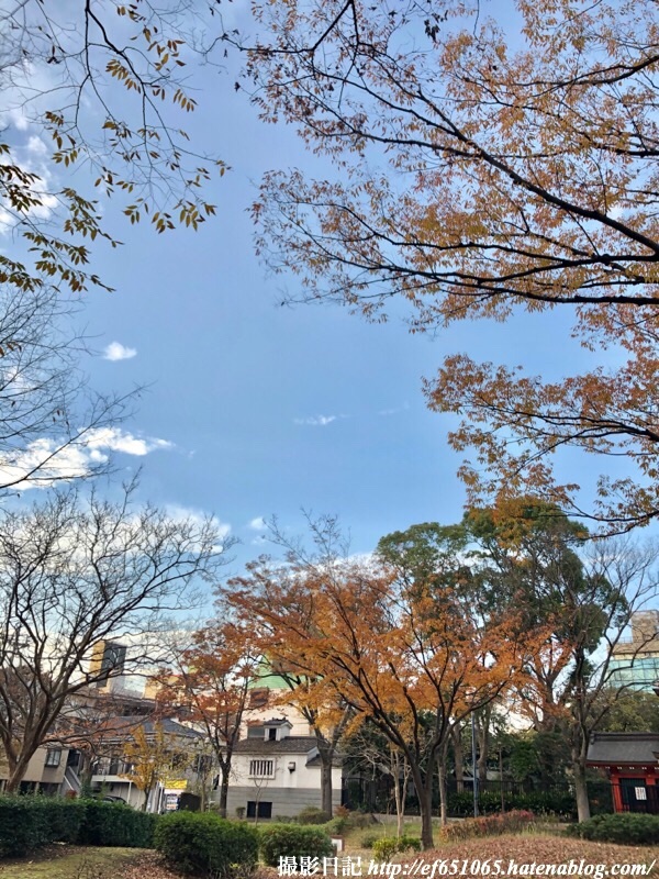 f:id:ef651065:20191205160646j:image