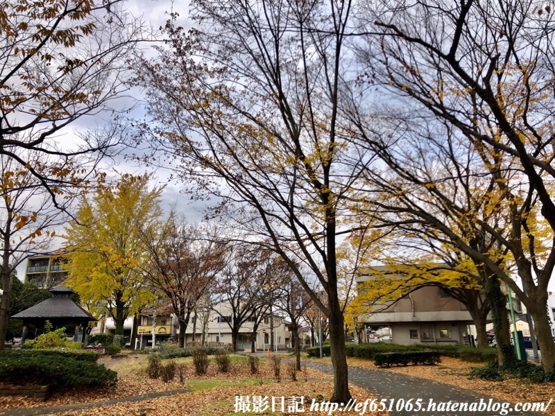 f:id:ef651065:20191209155416j:image