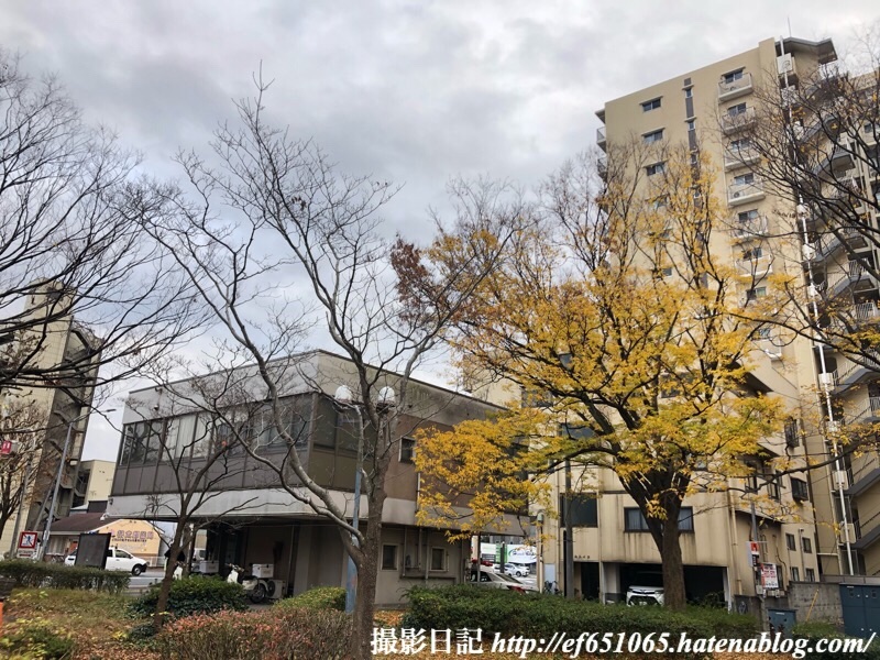 f:id:ef651065:20191209155427j:image