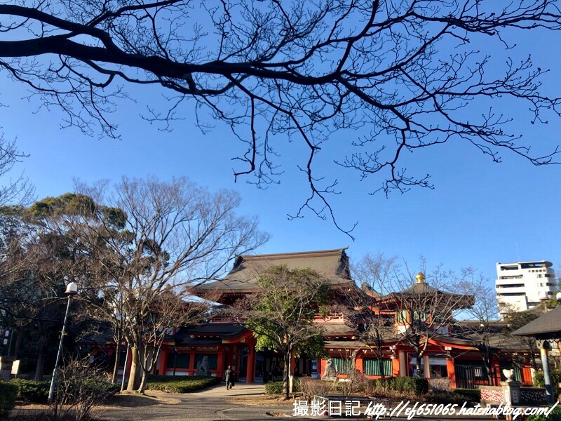 f:id:ef651065:20200130155120j:image