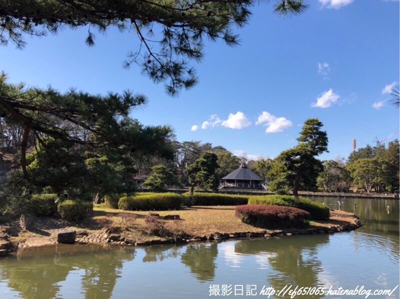 f:id:ef651065:20200218174812j:image