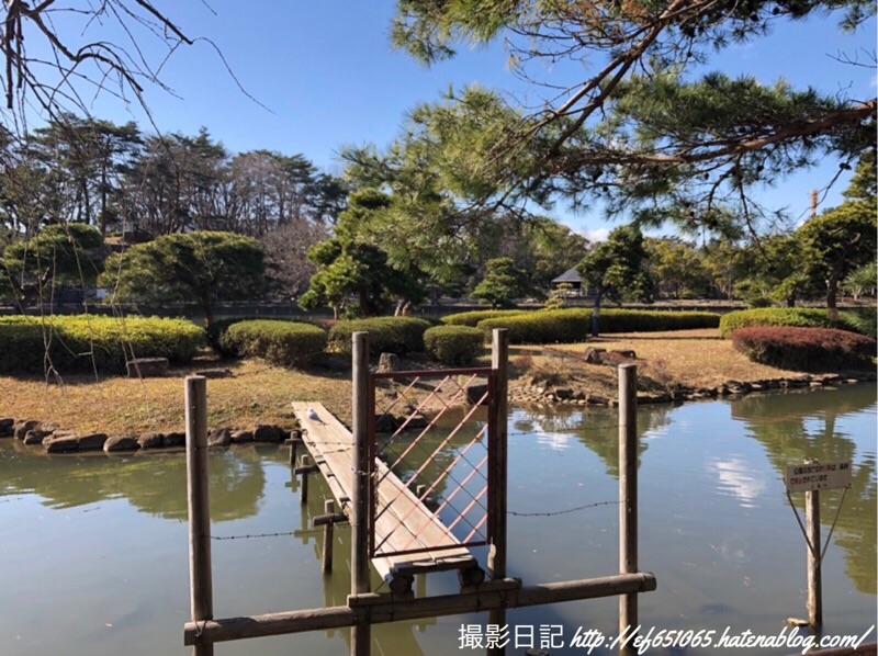 f:id:ef651065:20200218174815j:image