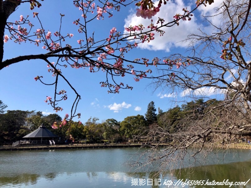f:id:ef651065:20200218174832j:image