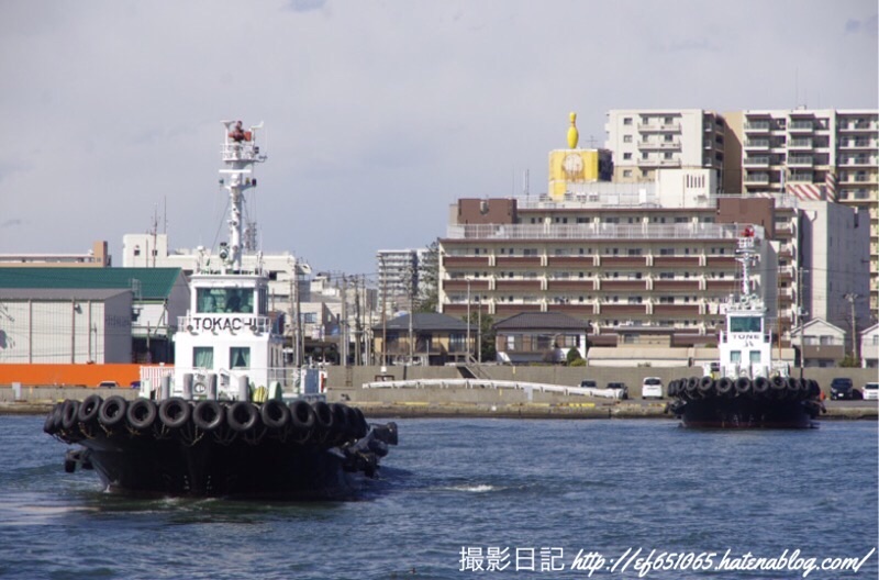 f:id:ef651065:20200218211942j:image
