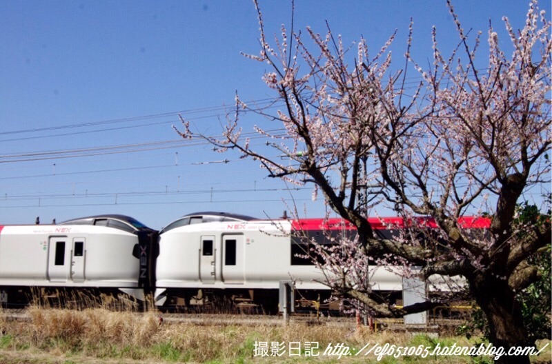 f:id:ef651065:20200306142544j:image