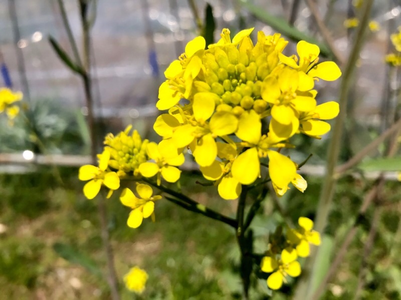 f:id:ef651065:20200325153259j:image