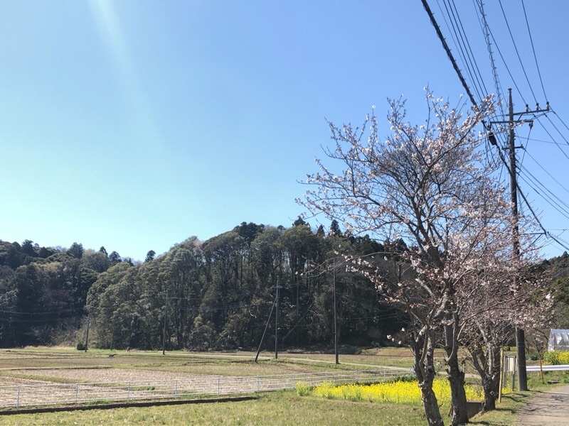 f:id:ef651065:20200325153309j:image
