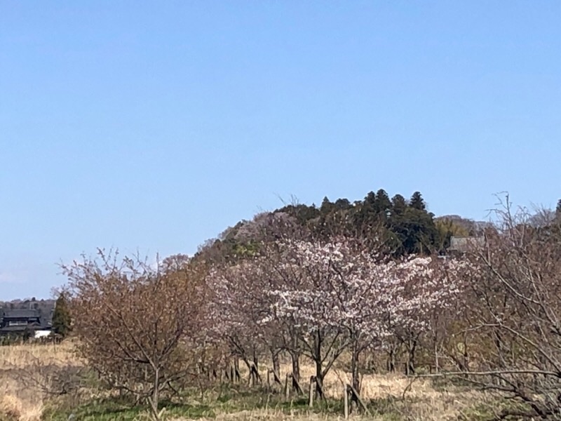 f:id:ef651065:20200325153417j:image