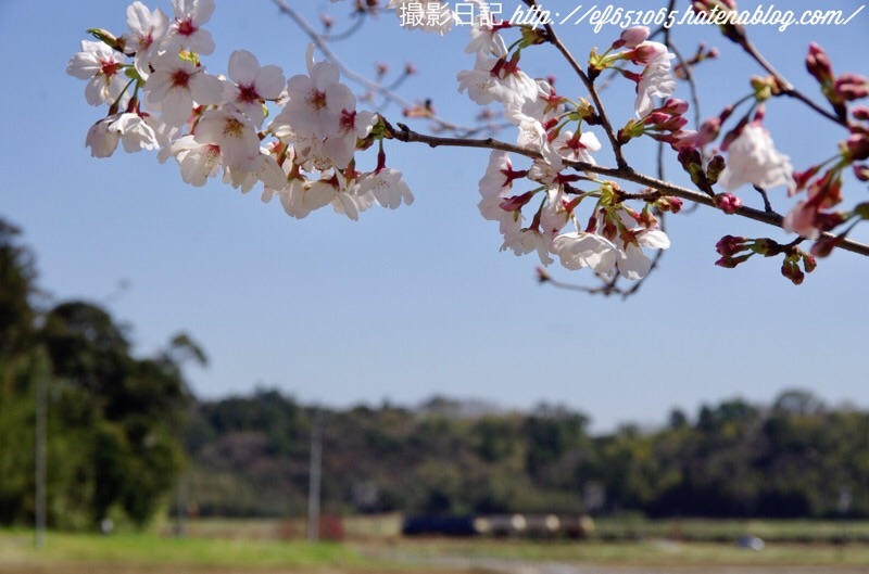 f:id:ef651065:20200325175847j:image