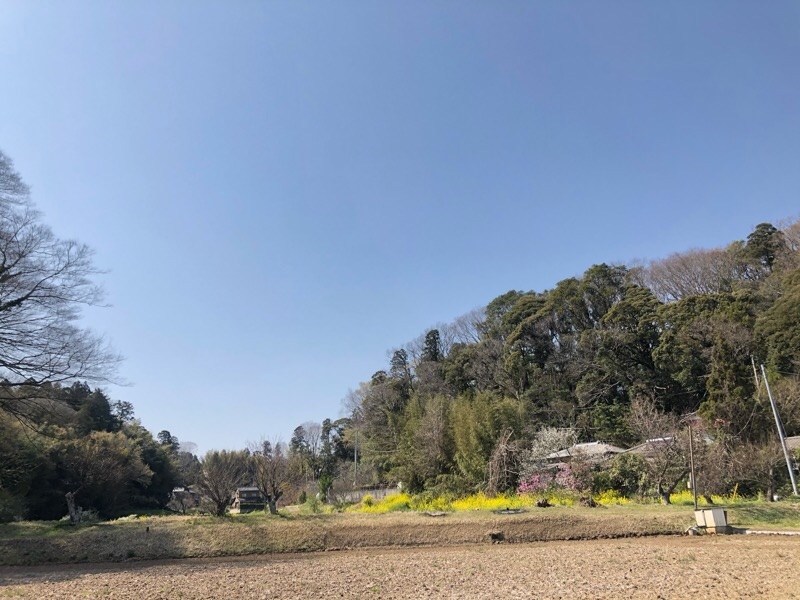 f:id:ef651065:20200326145024j:image