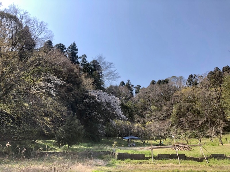 f:id:ef651065:20200326145033j:image
