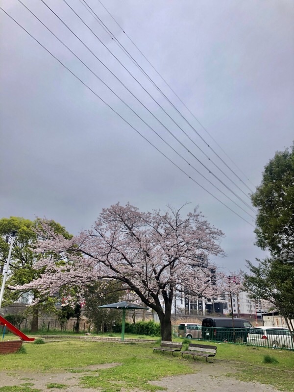 f:id:ef651065:20200331121236j:image