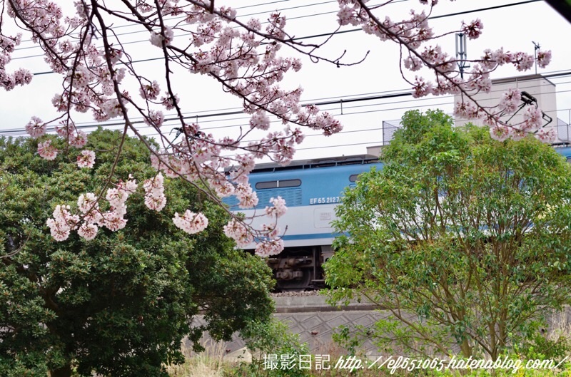 f:id:ef651065:20200331125017j:image
