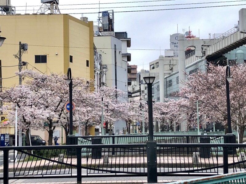 f:id:ef651065:20200402064848j:image