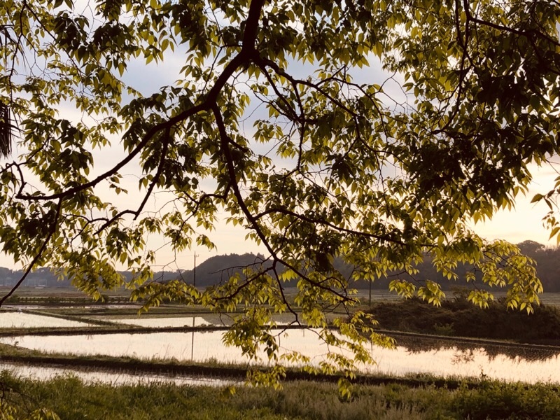 f:id:ef651065:20200508145712j:image