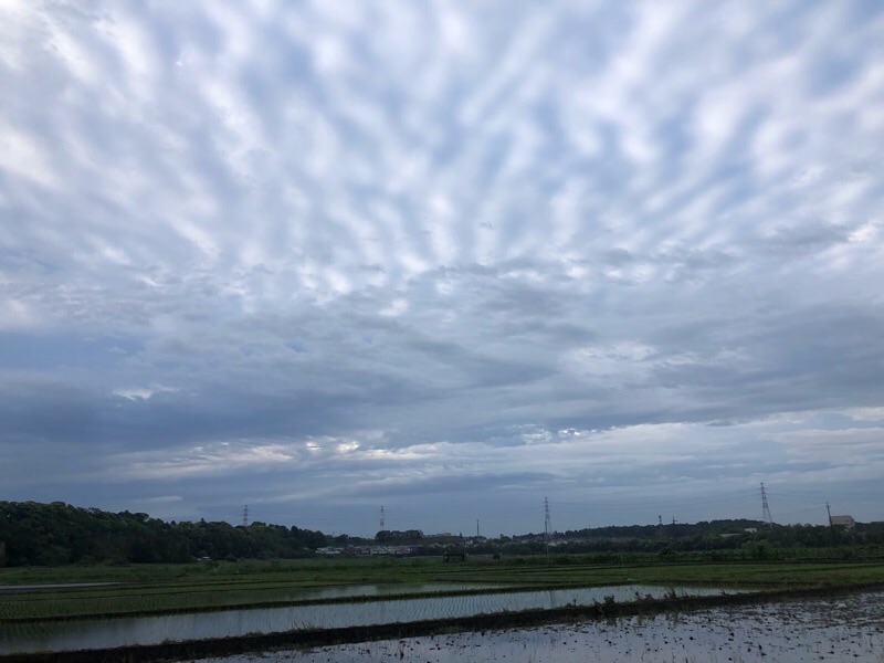 f:id:ef651065:20200511054423j:image