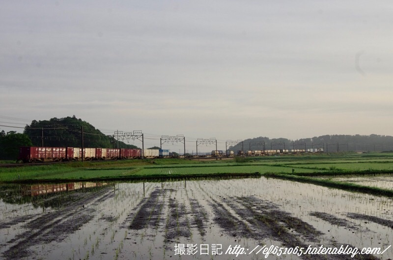 f:id:ef651065:20200524071546j:image