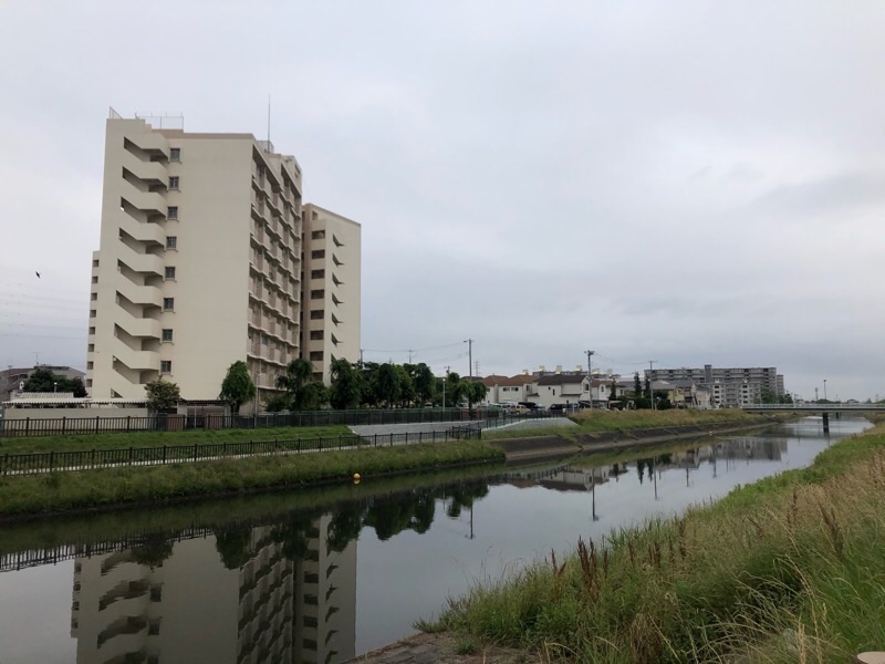 f:id:ef651065:20200608171857j:image