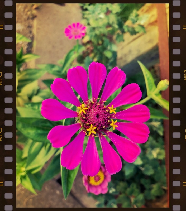 f:id:ef651065:20200806055348j:image