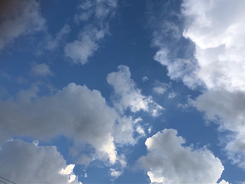f:id:ef651065:20200910005935j:image
