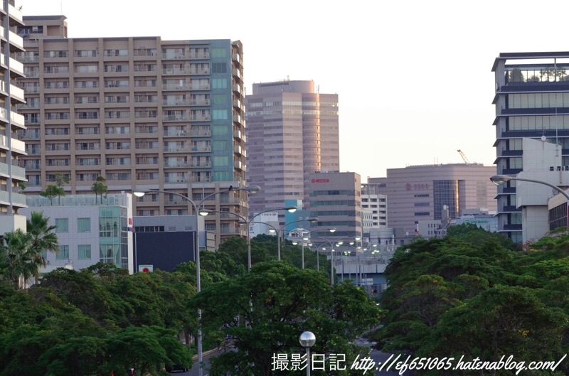 f:id:ef651065:20201031230035j:image