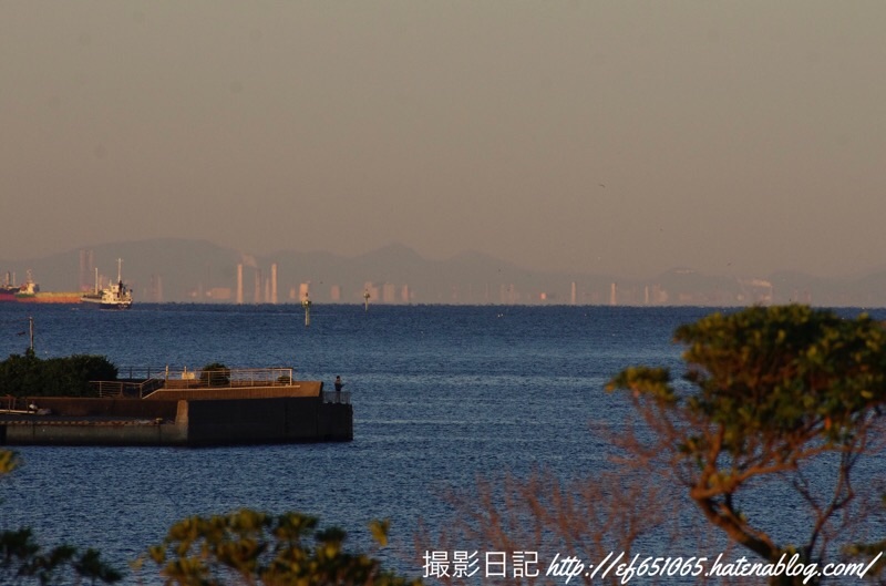 f:id:ef651065:20201031230103j:image