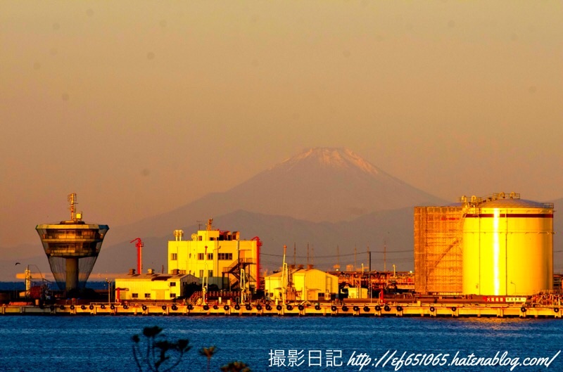 f:id:ef651065:20201101085757j:image