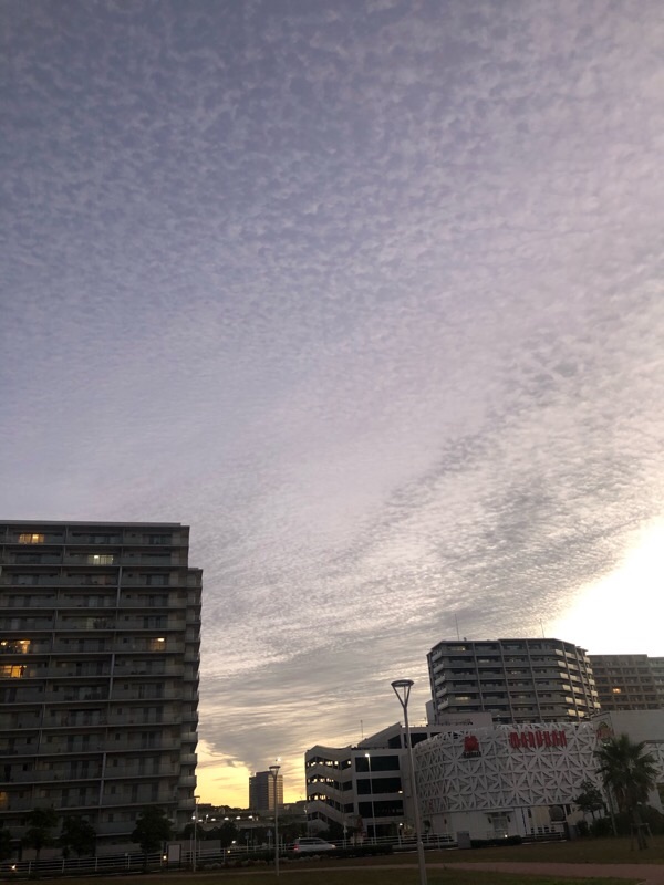 f:id:ef651065:20201104095622j:image