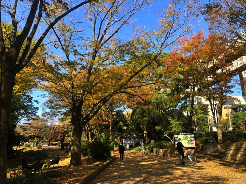 f:id:ef651065:20201114145410j:image