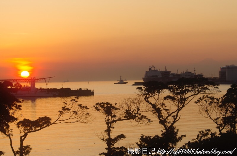 f:id:ef651065:20201116224510j:image