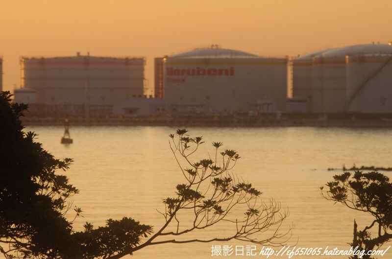 f:id:ef651065:20201116224517j:image