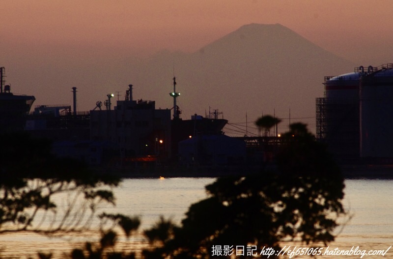 f:id:ef651065:20201116224532j:image