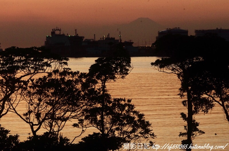 f:id:ef651065:20201116224535j:image