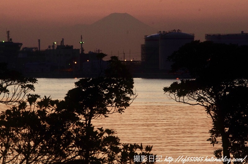 f:id:ef651065:20201116224538j:image