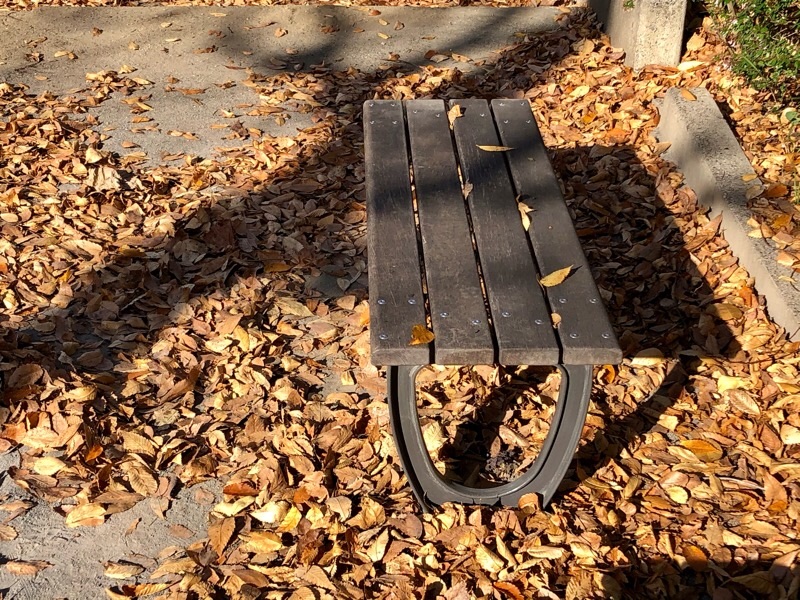 f:id:ef651065:20201215152416j:image