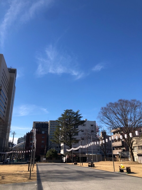 f:id:ef651065:20210108152022j:image