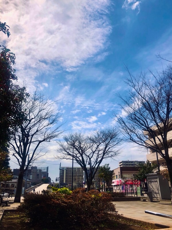 f:id:ef651065:20210305211634j:image