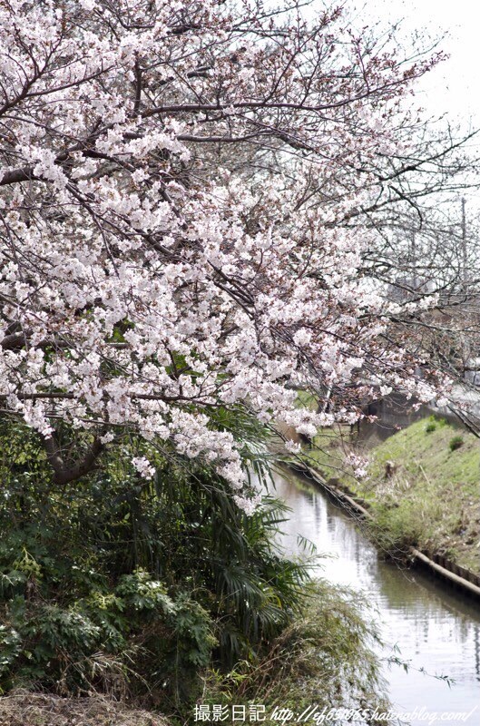 f:id:ef651065:20210319164431j:image