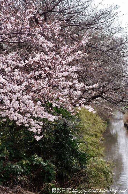f:id:ef651065:20210321094412j:image