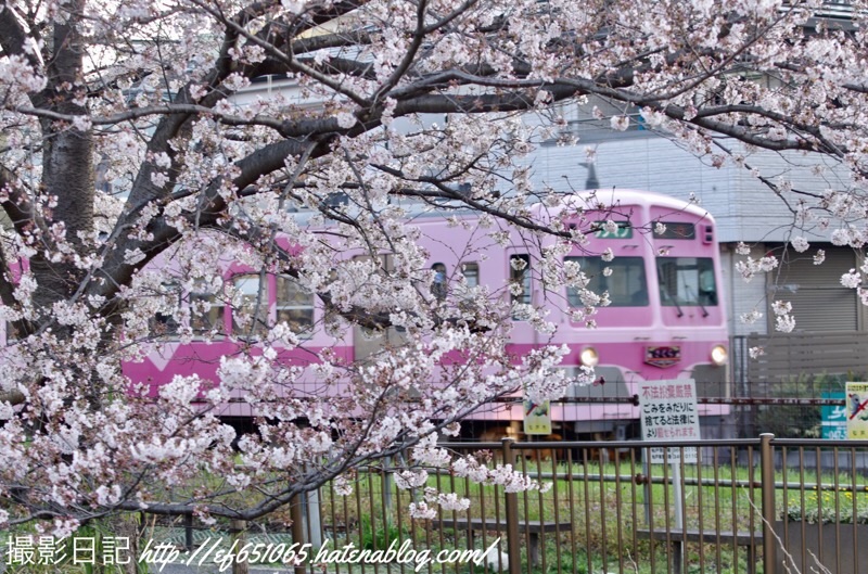 f:id:ef651065:20210324070402j:image