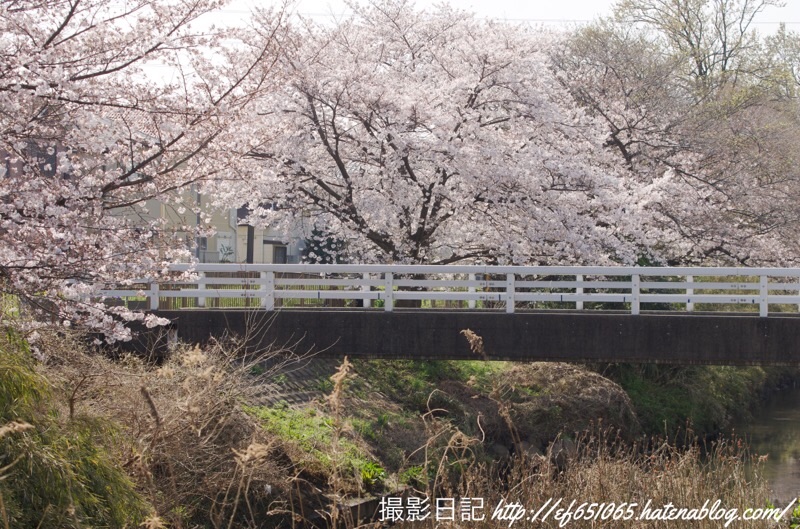 f:id:ef651065:20210324113525j:image