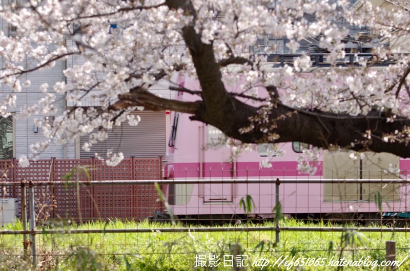 f:id:ef651065:20210324114611j:image