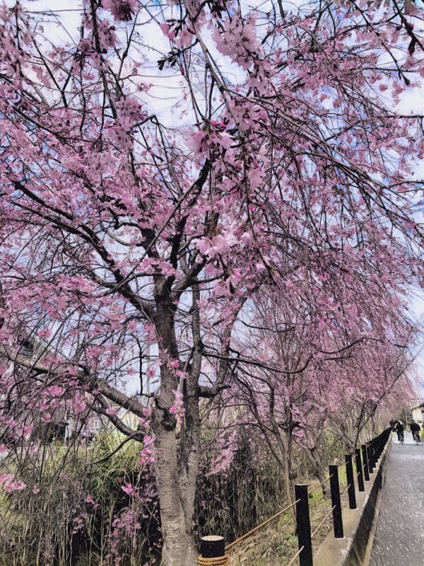 f:id:ef651065:20210326090759j:image