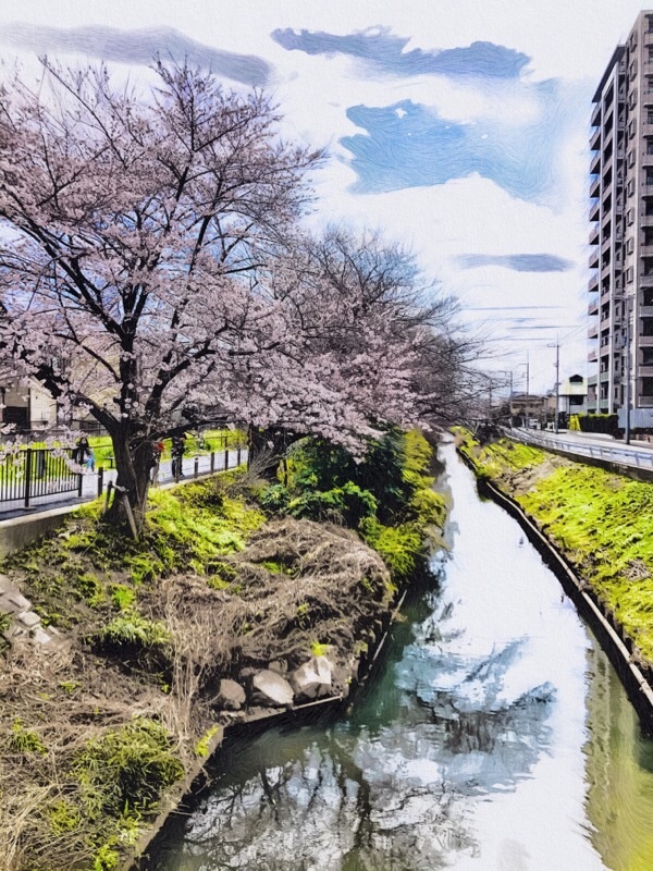 f:id:ef651065:20210326090802j:image