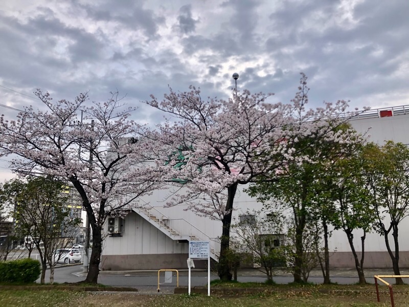 f:id:ef651065:20210328073042j:image